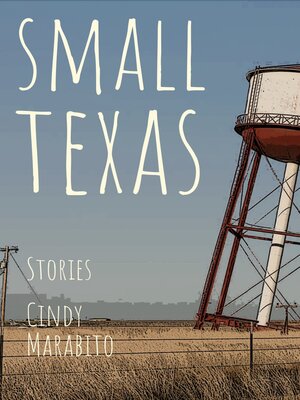cover image of Small Texas